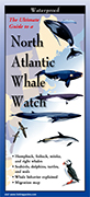 North Atlantic Whale Watch