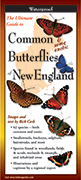 Common and some exotic Butterflies of New England