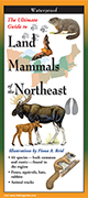 Land Mammals of the Northeast