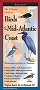 Birds of the Mid Atlantic Coast