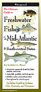 Freshwater Fishes of the Mid Atlantic and South central States
