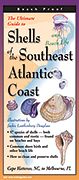 Shells and Beach Life of the Southeast Atlantic Coast
