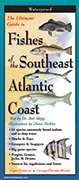Fishes of the Southeast Atlantic Coast