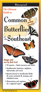 Common and some exotic Butterflies of the Southeast
