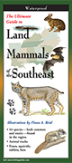 Land Mammals of the Southeast
