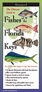 Fishes of the Florida Keys