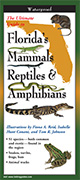 Florida's Mammals Reptiles and Amphibians