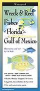 Wreck and Reef Fishes of Florida and the Gulf of Mexico