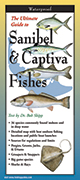 Sanibel and Captiva Fishes