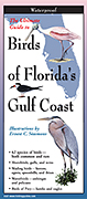Birds of Florida's Gulf Coast