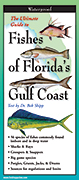 Fishes of Florida's Gulf Coast