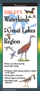 Sibley's Waterbirds of the Great Lakes Region