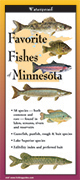 Favorite Fishes of Minnesota