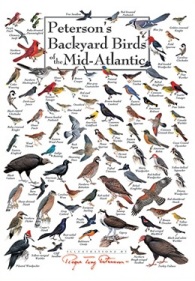 Peterson's Backyard Birds of the Mid Atlantic